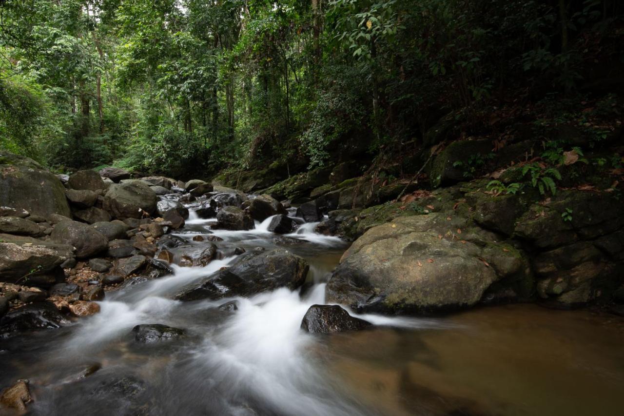 Moksha At Kitulgala - Rainforest Boutique Hotel Luaran gambar